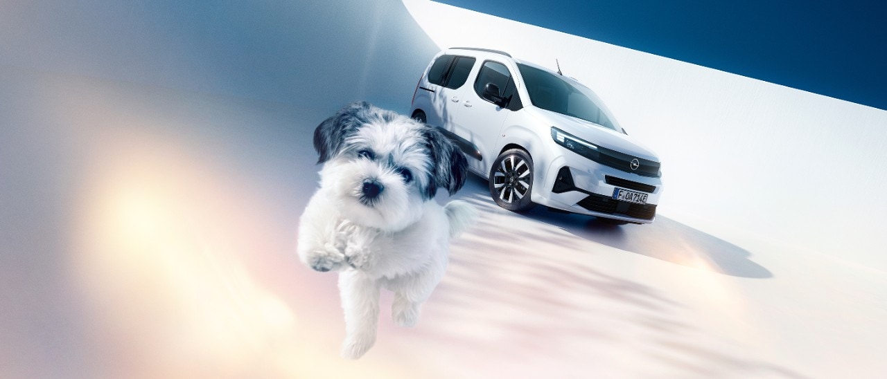 Vedere din față a unui Opel Combo Electric alb și a unui câine